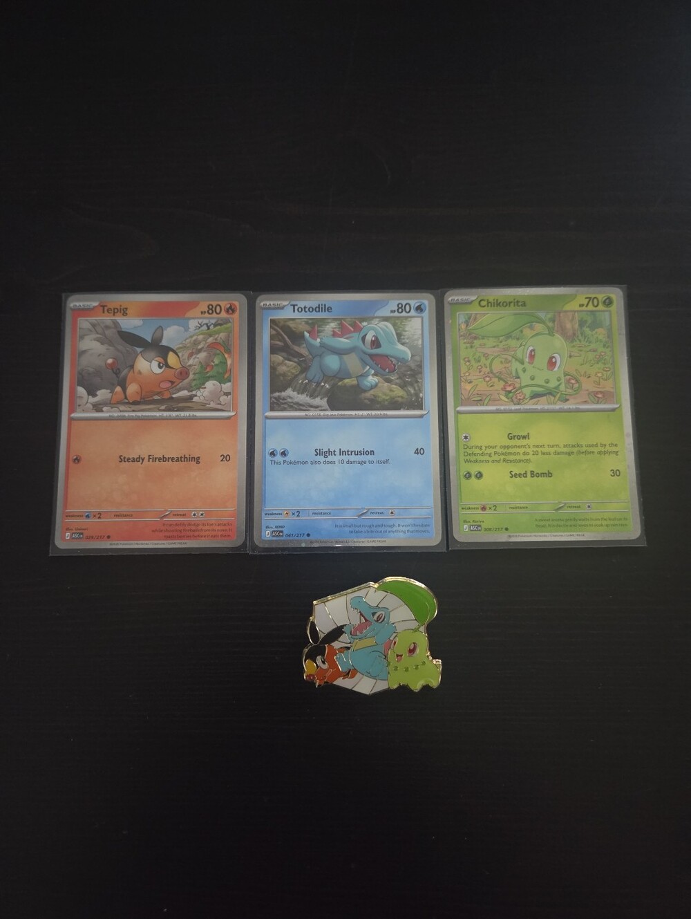 Pokemon Tepig, Totodile, and Chikorita Promo Holo Trading Cards with Pin